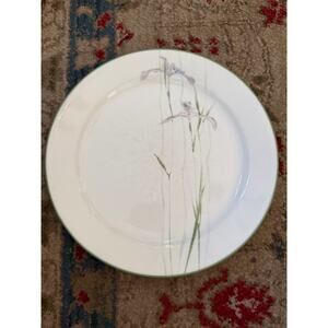 Corelle Plates Corning Shadow Iris Dinner Plates Bread Set of 2